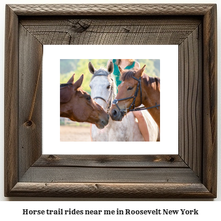 horse trail rides near me in Roosevelt, New York